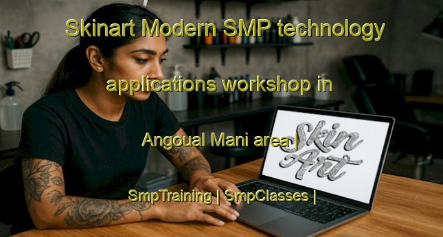 Skinart Modern SMP technology applications workshop in Angoual Mani area | SmpTraining | SmpClasses | SkinartTraining-Niger
